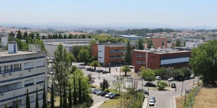 Na FCT NOVA vai debater-se a importância das soft skills