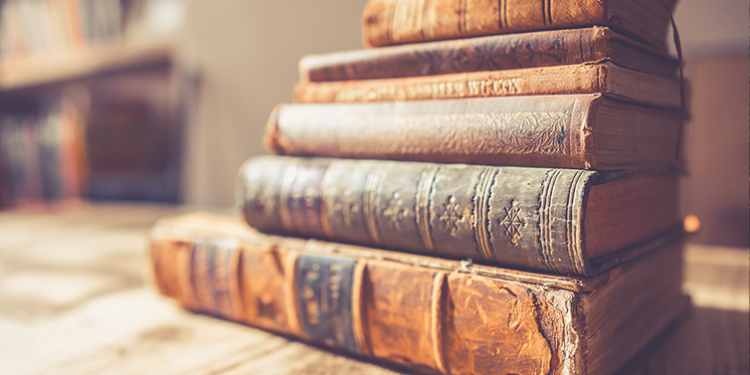 Compreender a terra a partir dela: curso breve na biblioteca Municipal Almeida Garrett