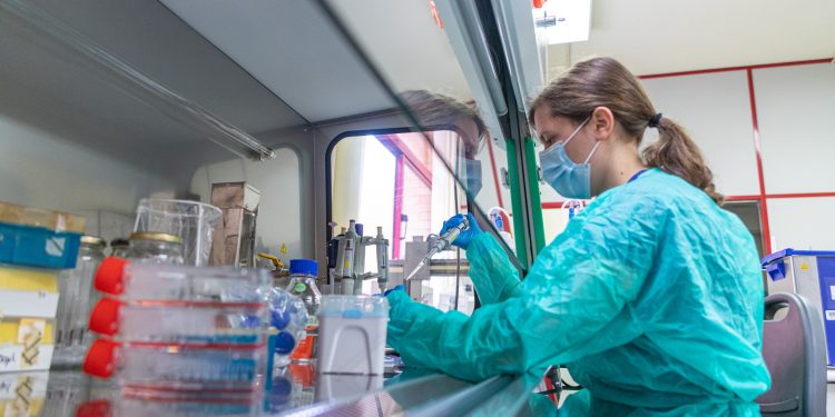 UA mostra novo conhecimento na Research Summit sob tema “Ciência Aberta”