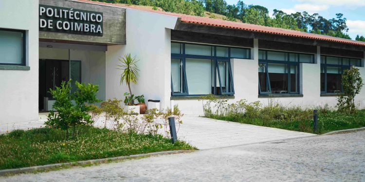 Politécnico de Coimbra disponibiliza 175 vagas para Concurso Especial para Diplomados de Vias Profissionalizantes