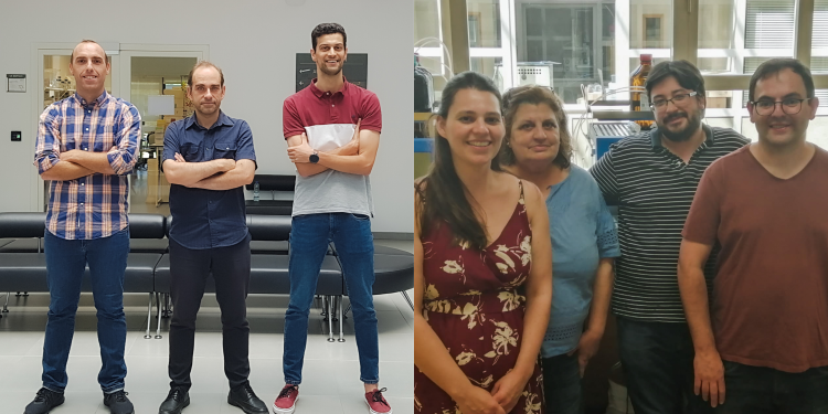 Estudo das Universidades de Coimbra e do Porto confirma eficácia de um antioxidante na prevenção do fígado gordo não alcoólico