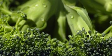 GrowLIFE: por um sistema alimentar mais sustentável