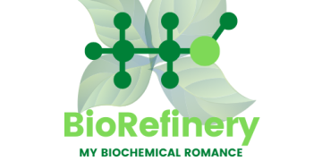 Curso de verão sobre BioRefinery da Universidade de Aveiro: My Biochemical Romance