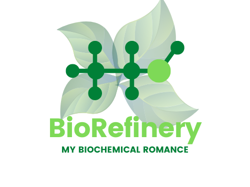 Curso de verão sobre BioRefinery da Universidade de Aveiro: My Biochemical Romance