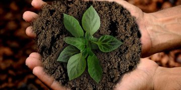 IPS conquista dois prémios pelo desempenho na área do Desenvolvimento Sustentável