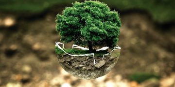 1º Galardão Eco-Escolas do Ensino Superior e EcoCampus