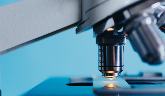 Semana da Ciência e da Tecnologia regressa ao IPS