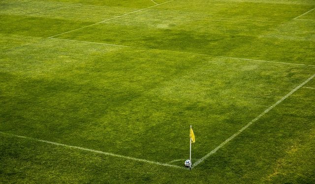 Queres ser voluntário no jogo entre as Seleções Nacionais de Portugal e da Nigéria? Inscreve-te