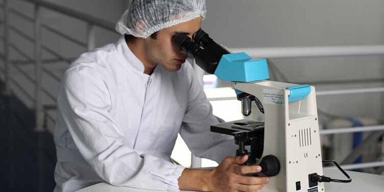 Universidade Europeia e Associação Nacional das Farmácias reforçam acordo para estágios curriculares