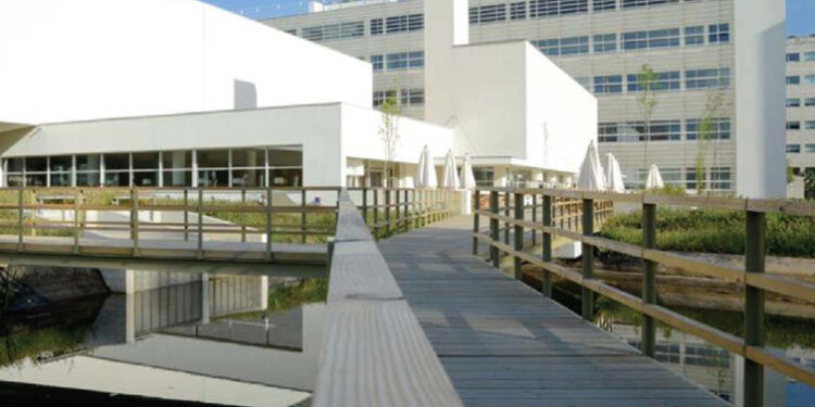 Porto Business School lança oferta de aprendizagem autónoma 100% digital