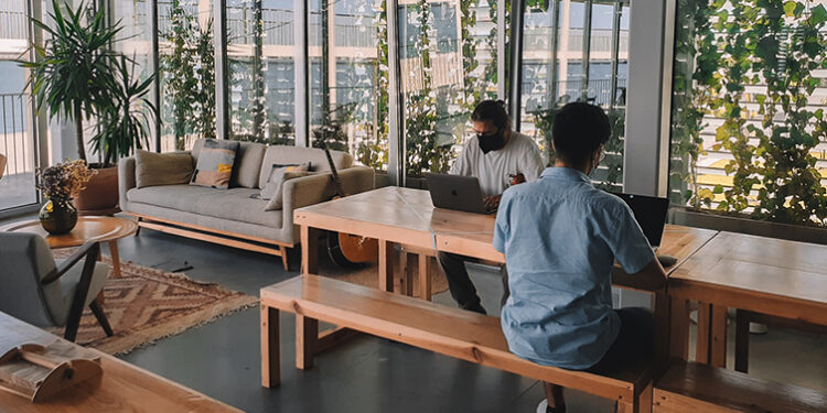 Verão tecnológico: Ironhack tem cursos para aprender novas competências nas férias