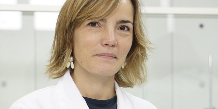 Estabilizar vitaminas e evitar oxidação da fruta até 48 horas: Investigação da NOVA FCT recebe Bolsa ERC-Proof of Concept