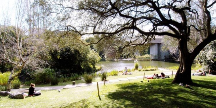 Gulbenkian atribui Bolsas de Estudo a 25 alunos de Artes para apoiar formação no estrangeiro