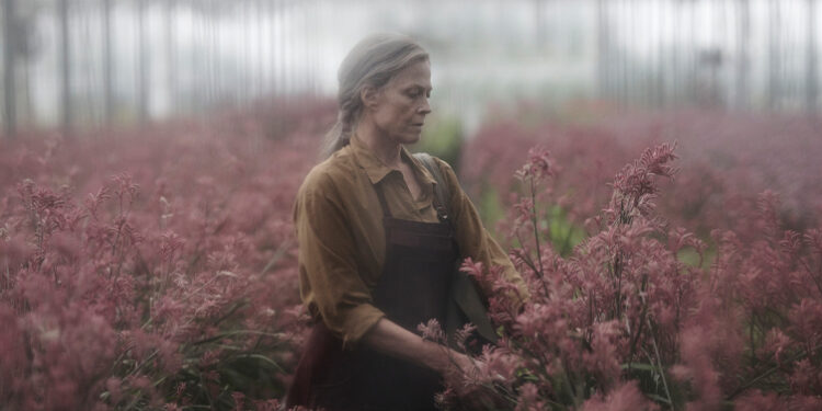 Prime Video revela o trailer oficial da série original "The Lost Flowers of Alice Hart"