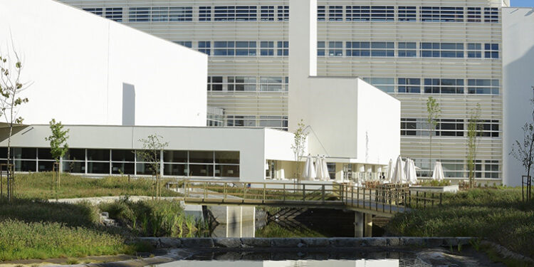 Porto Business School volta a apostar na liderança no feminino