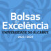 117 estudantes da Universidade do Algarve foram premiados com Bolsa de Excelência
