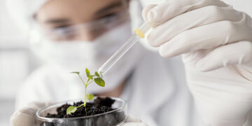 FEP e Super Bock Group unem-se para promover a excelência na produção científica