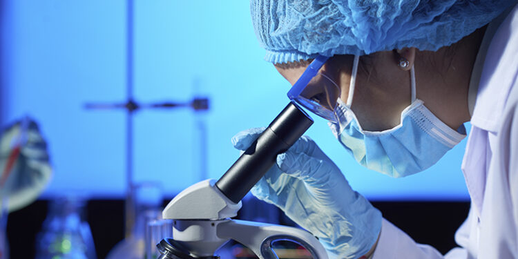 Licenciatura em Biotecnologia do Politécnico de Leiria regista pleno emprego