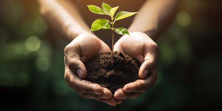 Universidade Portucalense integra Rede de Soluções para o Desenvolvimento Sustentável