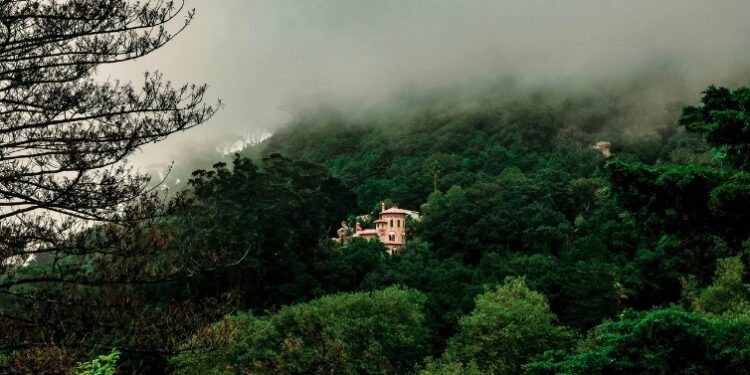 Sintra promove caminhada pelas margens do Rio da Mula