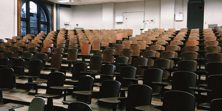 Porto Executive Academy lança Pós-Graduação (pioneira) em Diversidade, Equidade e Inclusão