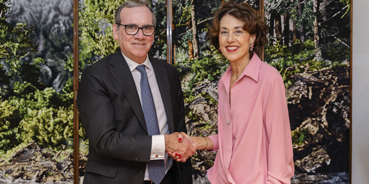 IE University e Fundación José Antonio Llorente anunciam programa de Bolsas (para jovens talentos)