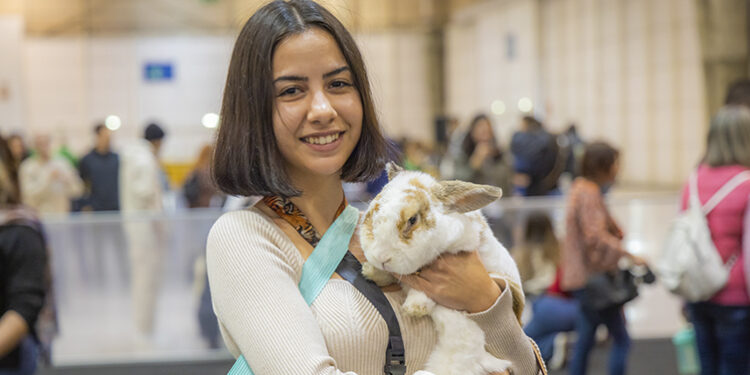 "Pet Festival" estima receber 25 mil visitantes (com concursos e workshops)