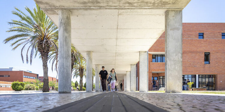 Universidade de Aveiro abre candidaturas (a Cursos de Especialização)