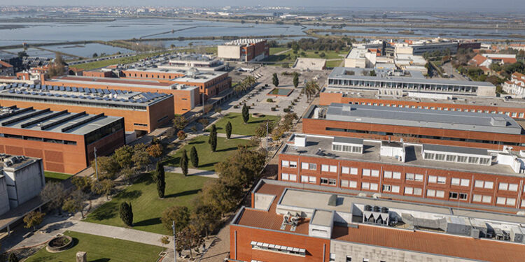 Aveiro cria "Centro de Competências para a Gestão de Dados de Investigação"