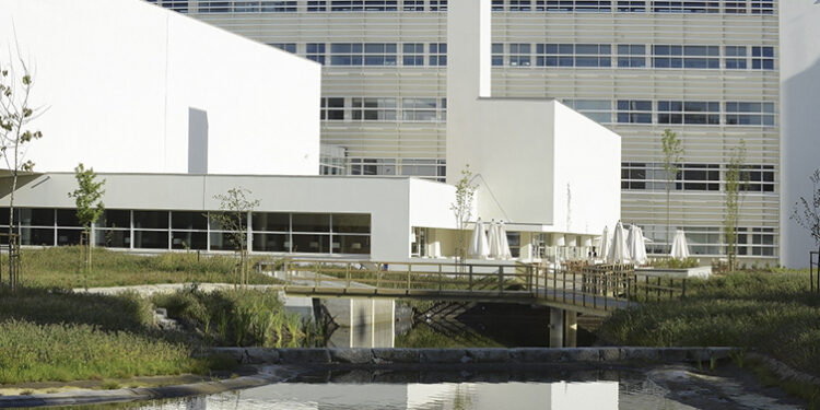 Porto Business School estreia Executive Master (em Tourism Management)