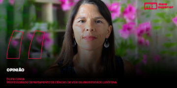 Opinião | Como gerir o stress da vida académica?