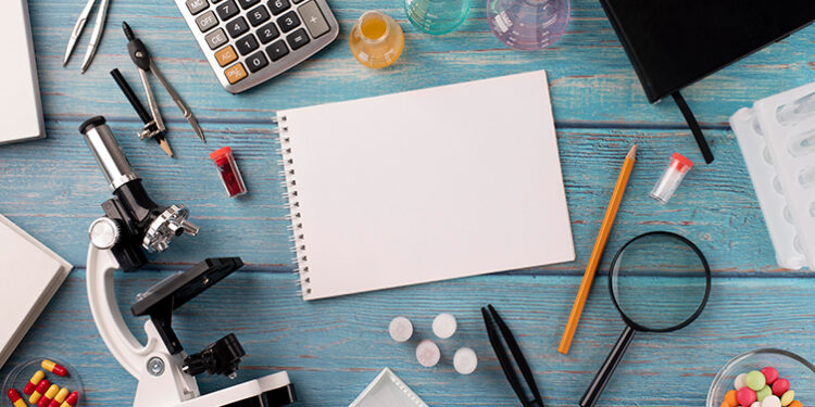 "Impact Center for Climate Change" atribui Bolsas para Investigação