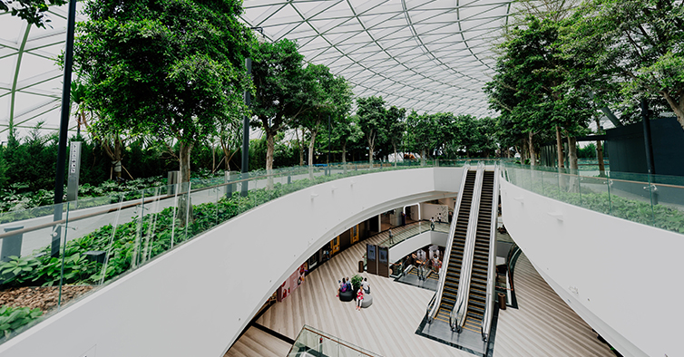 Politécnico de Tomar recebe "Eco-Campus"