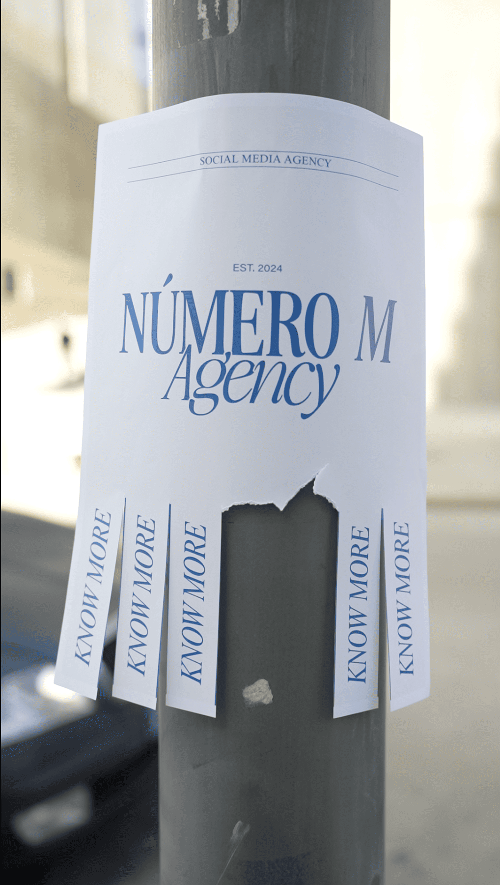 Entrevista | Mariana Garcia: A liderança da Geração Z