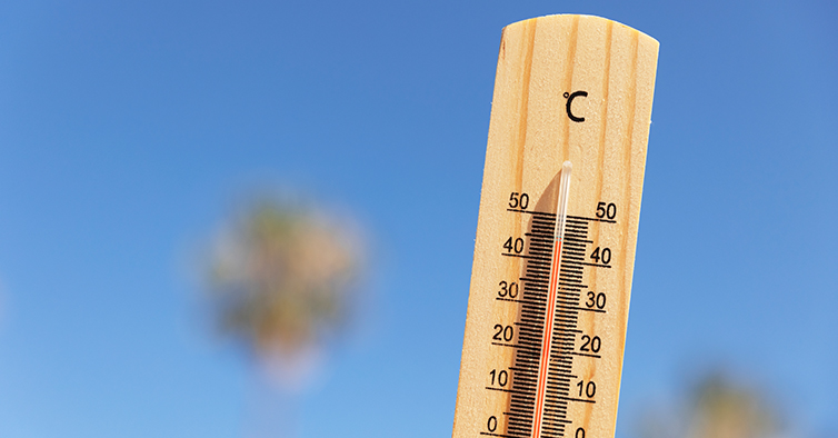 IPMA abre vagas para estágios curriculares (e extracurriculares)